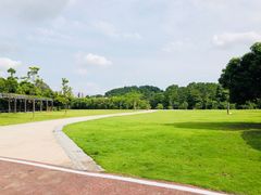 -大屏嶂森林公园