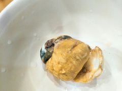 -阊门姚记豆浆(旧学前直营店)