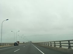 -春花秋色城市公园