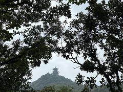 -杭州半山国家森林公园