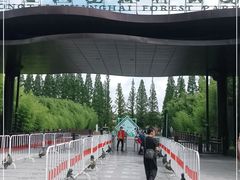 -黄海国家森林公园