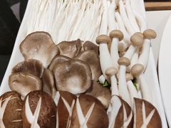 -百年果林椰子鸡(宝安总店)