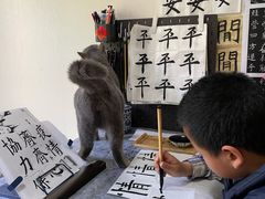 -秦汉胡同国学书院(梅川分馆)