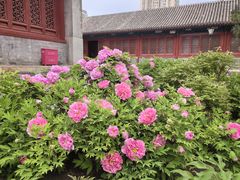 -大钟寺古钟博物馆