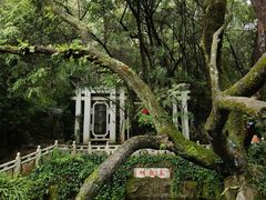 -蝴蝶泉公园