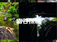 -梭布垭石林景区