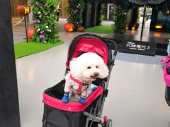 -中海环宇荟
