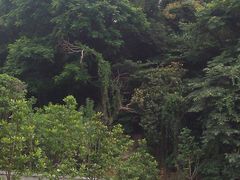 -首义公园-武昌蛇山烈士祠