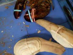 -山东八大碗山东老字号