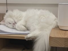 -美联众合24小时·皮肤科·外科·全科诊疗中心(华苑分院)