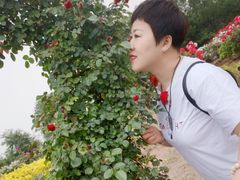 -龙口南山旅游景区