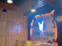 -白兔子密室(长寿路店)
