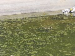 -秦皇岛野生动物园
