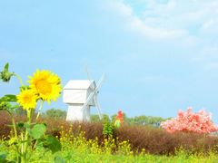 android_upload_pic-北京东方普罗旺斯薰衣草庄园