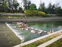 -坝河休闲公园