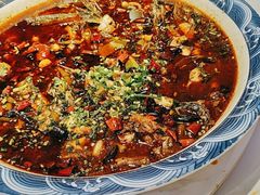 -新概念来凤鱼(璧山店)