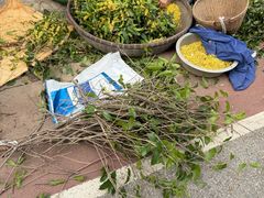 -苏州市吴中区光福窑上花果蜜饯厂