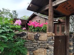 -鹅湖玫瑰文化园