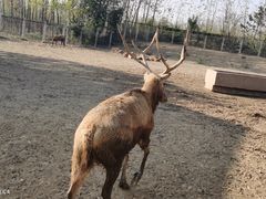 -宿豫区运河湾森林动物园