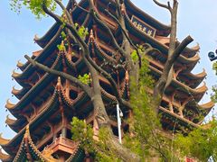 -黄鹤楼公园(黄鹤楼)