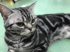 -藦茜花园宠物主题亲子互动体验馆(国顺东路店)