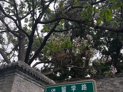 -星巴克臻选(北京前门大街店)