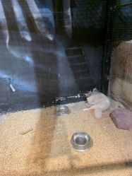 -酷嗒动物文化乐园(cutezoo西溪乐天城店)