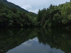 -洛阳白云山景区