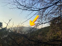-金龙寺国家森林公园