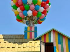 -苏州太湖西山岛开心农场