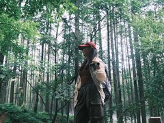 -洛阳白云山景区