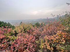 -北京西山国家森林公园