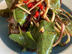 凉拌鱼腥草-懒人盐府人家(航天桥店)