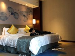 -常州环球恐龙城维景国际大酒店