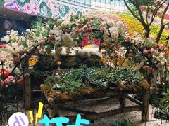 -花之城
