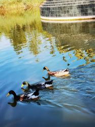 -大望京儿童游乐场