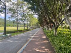-顺峰山公园