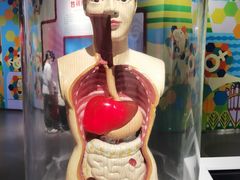 -佛山科学馆