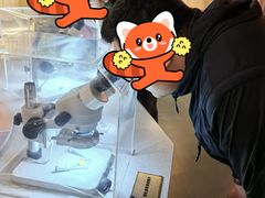 -陕西自然博物馆