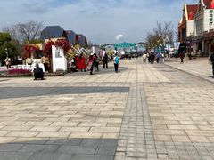 -荷兰花海
