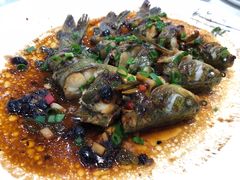 黄骨鱼-金瑞轩大酒楼·顺德鱼生·粤菜海鲜(东江国际店)