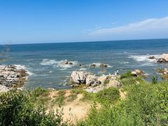 -养马岛旅游度假区