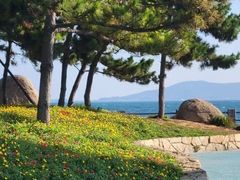 -悦海公园
