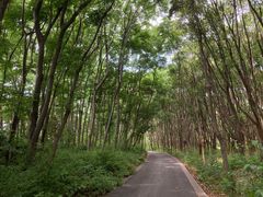 -同里国家湿地公园