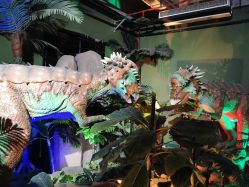 -恐龙探索乐园(磁器口店)
