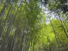 -敬亭山风景名胜区