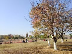 -盘龙城国家考古遗址公园