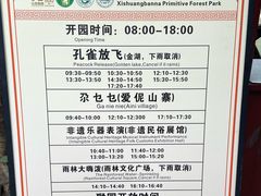-西双版纳原始森林公园