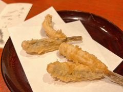 辫子鱼-みかわ是山居