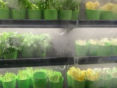 -诱货海鲜自助火锅(爱琴海购物公园东百店)